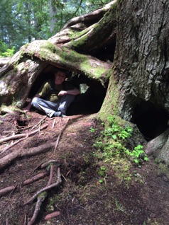 Testing to shelter.  <hr>  Erproben eines Unterschlupf.