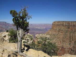 Looking westward.  <hr>  Blick nach Westen.