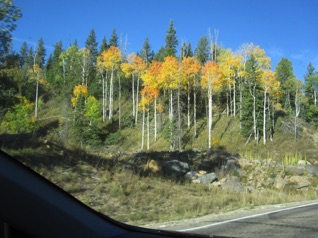 In so many colors to see. <hr>  All die schönen Herbstfarben.