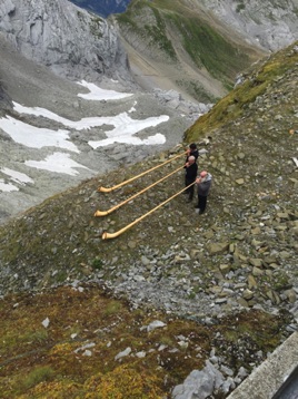 …an alphorn trio.  Listen to the majestic sound.   <hr>  Ein Alphorn Trio. Supper Zufall.