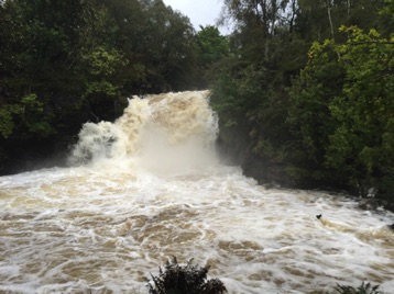 9/24, waterfall on drive through Loch Loman national park.  Our guide, Tom (a Church of Scotland elder, retired businessman, and opinionated talker) asked us to not get to close to the water.